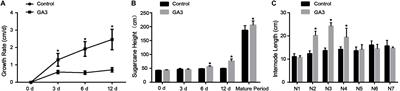 Enhanced Activity of Genes Associated With Photosynthesis, Phytohormone Metabolism and Cell Wall Synthesis Is Involved in Gibberellin-Mediated Sugarcane Internode Growth